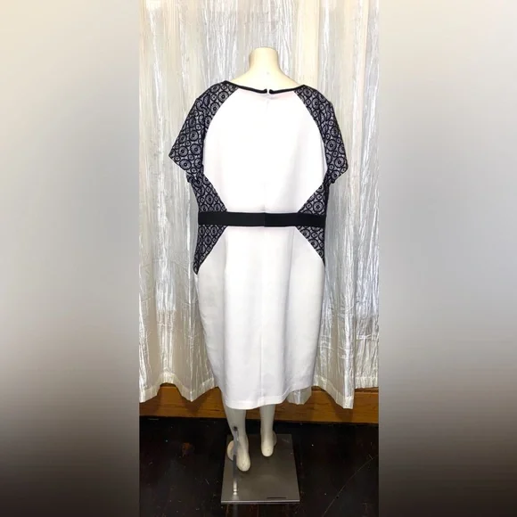 Ruiz & Ali Off White Dress With Black Lace Accents Size Woman’s 20 - Picture 2 of 4